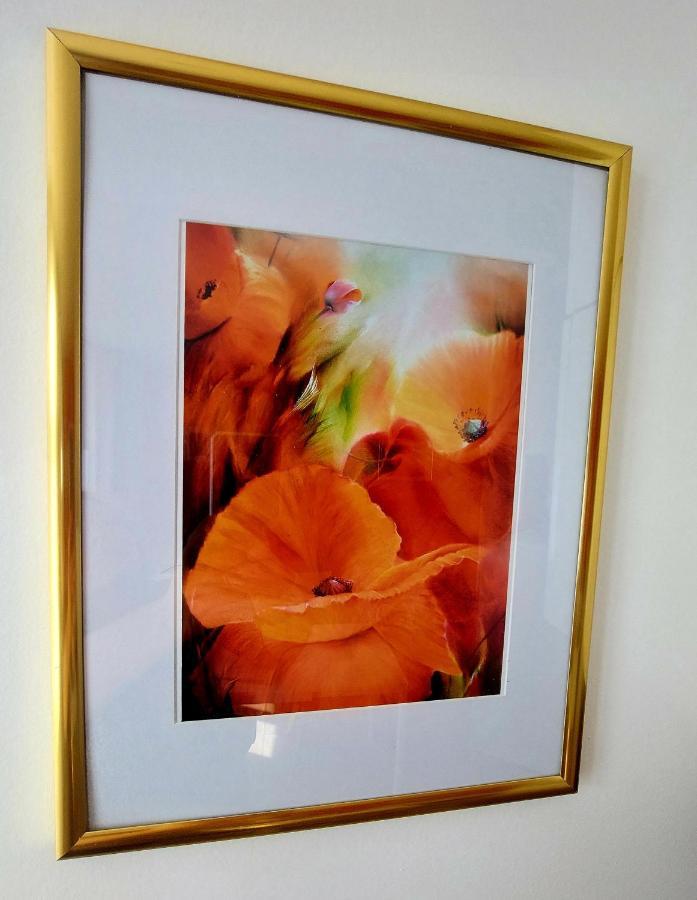 Les Belles Terrasses Dieppe ,3 Appartements , Le Vegetal De 1 A 8 Personnes , Le Tropical De 1 A 6 Personnes , Le Floral Avec Terrasse De 1 A 3 Personnes , Quartier Calme Au Stationnement Gratuit A Cote De L'Avenue Verte Exteriér fotografie